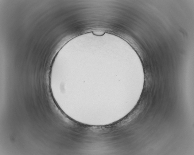 X0000110880906200907301431