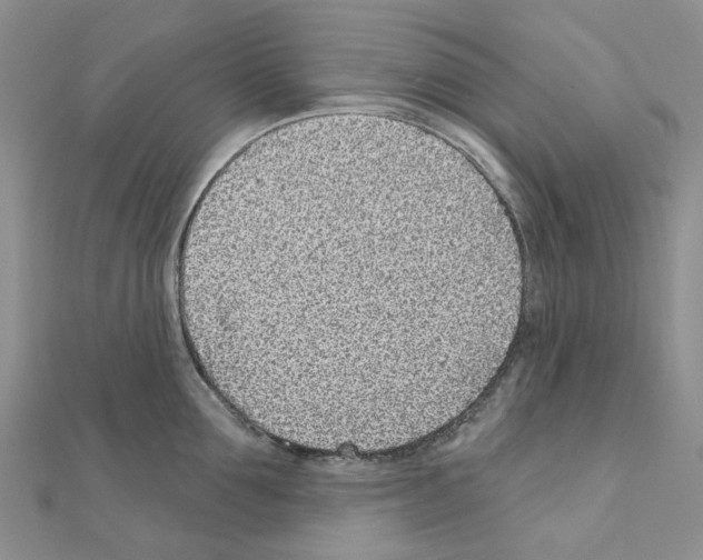 X0000110880907200907301431