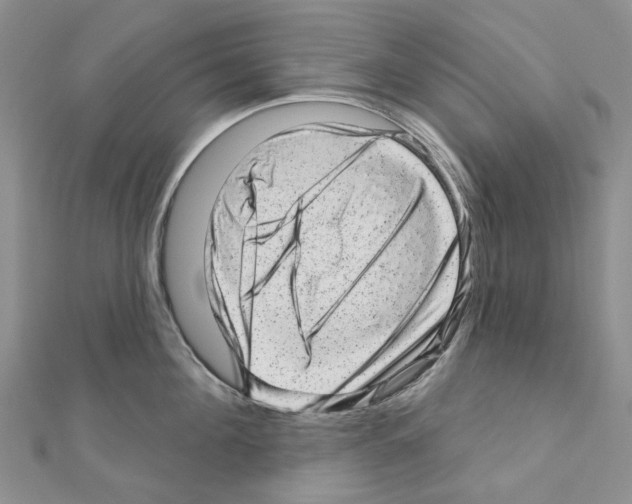 X0000110880908200907301431