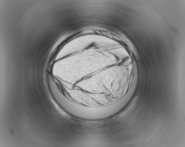 X0000110880909200907301431