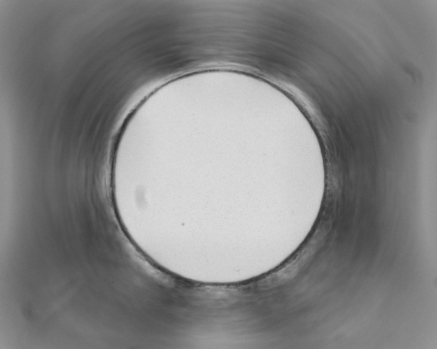 X0000110880910200907301431