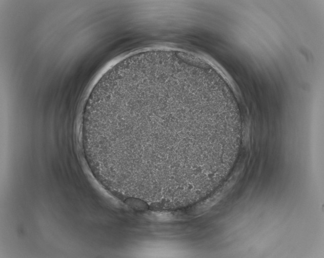 X0000110880911200907301431