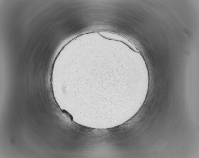 X0000110880912200907301431