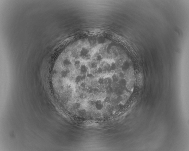 X0000110880913200907301430