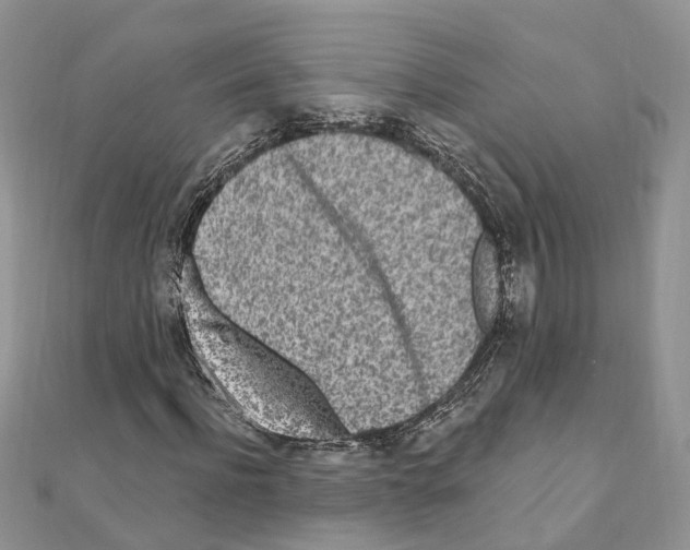 X0000110880916200907301430