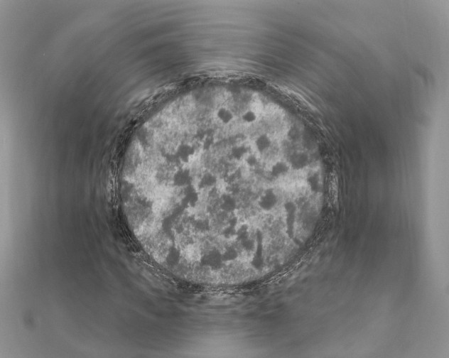 X0000110880917200907301430