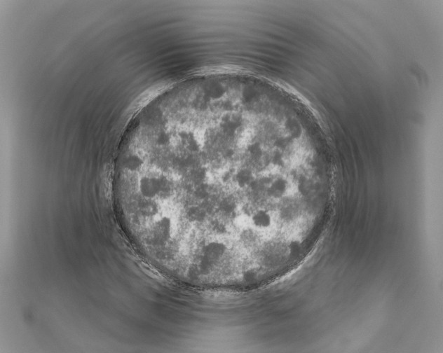 X0000110880921200907301431