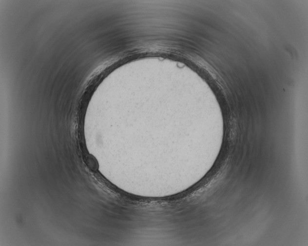 X0000110880922200907301431