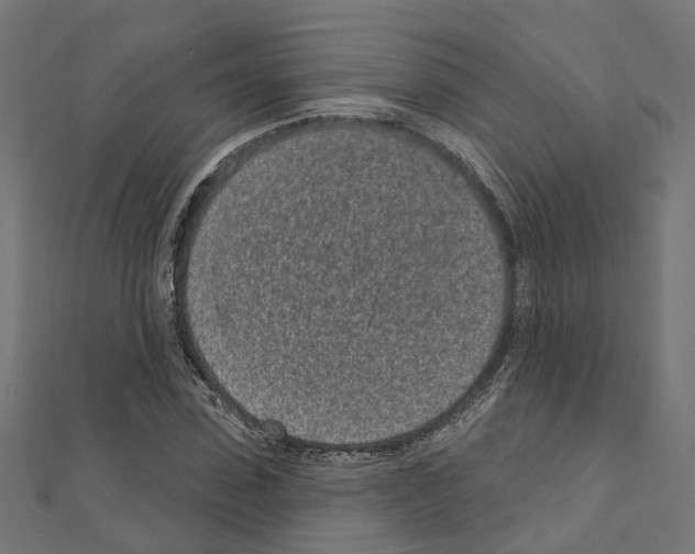 X0000110880923200907301431