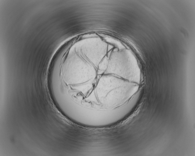 X0000110880924200907301431