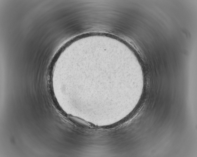 X0000110880926200907301431