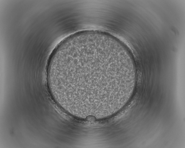 X0000110880927200907301431