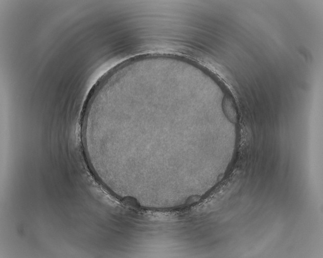 X0000110880928200907301431