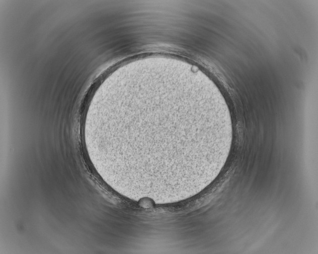 X0000110880931200907301431