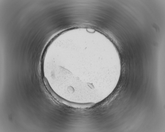 X0000110880932200907301431