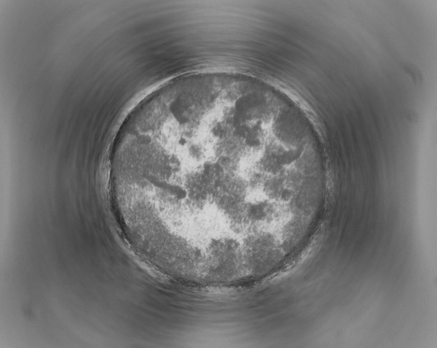 X0000110880933200907301431