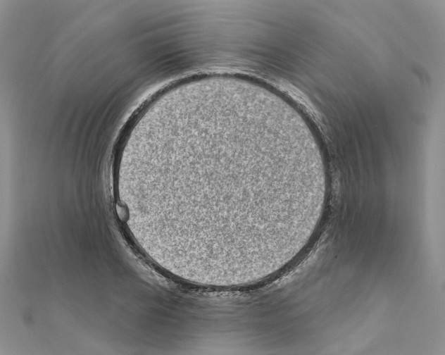 X0000110880934200907301431