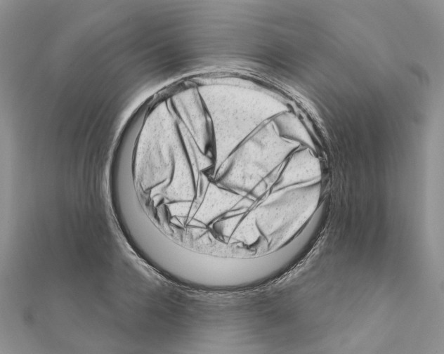 X0000110880936200907301431