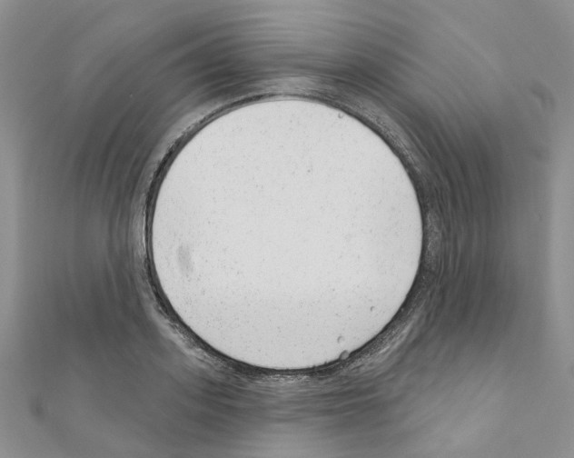 X0000110880939200907301431