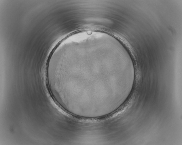 X0000110880941200907301431