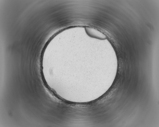 X0000110880942200907301431