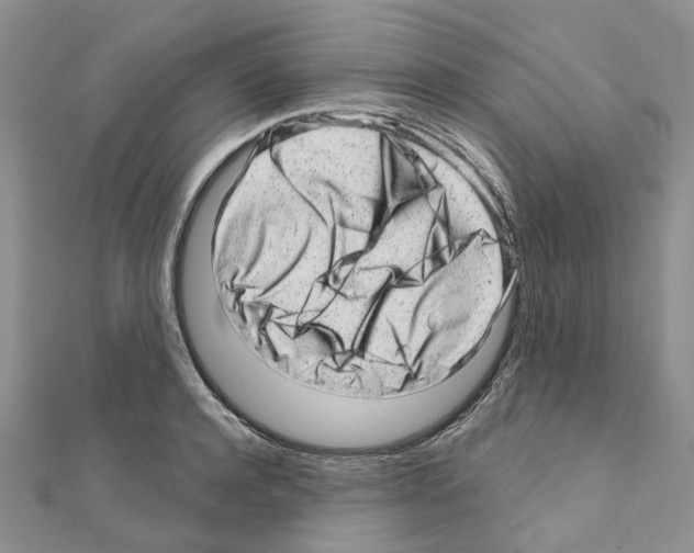 X0000110880944200907301431