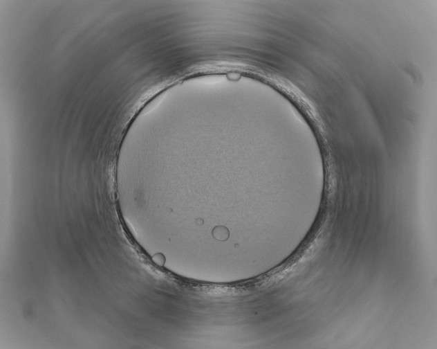 X0000110880945200907301431