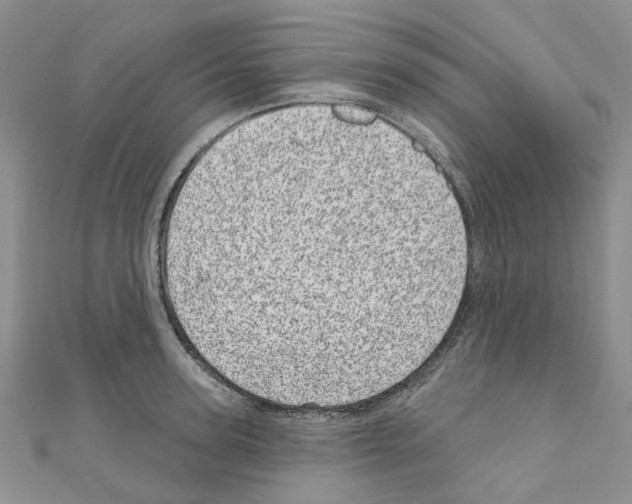 X0000110880947200907301431