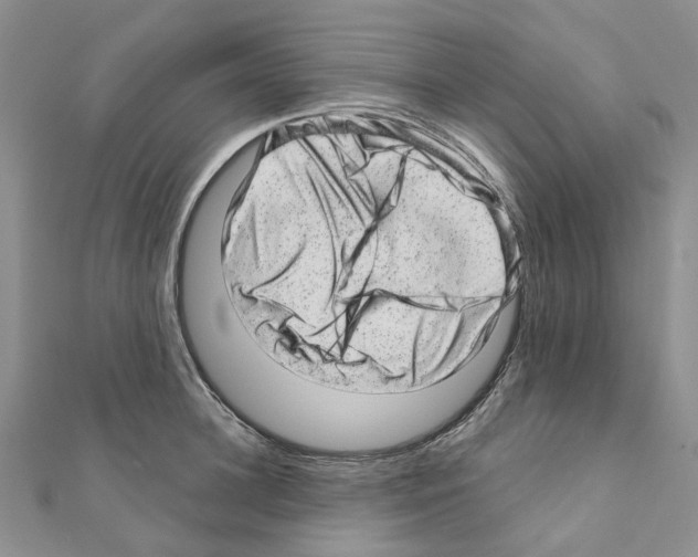 X0000110880948200907301431