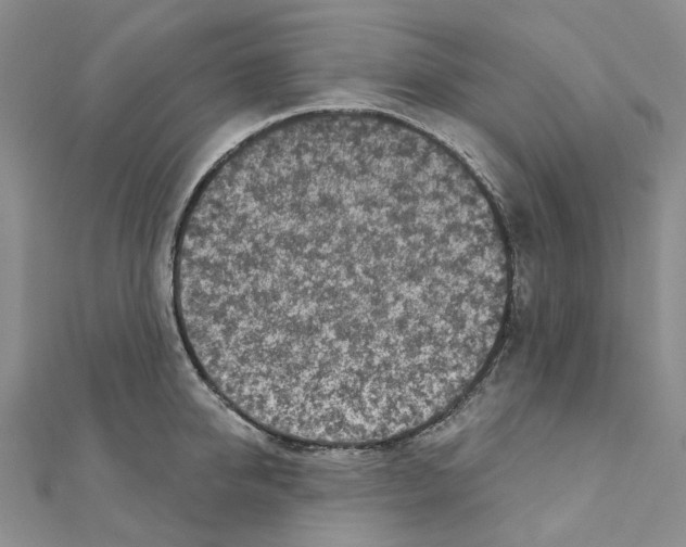 X0000110880950200907301431