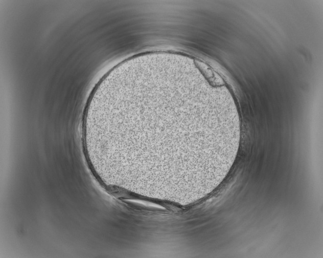 X0000110880951200907301431