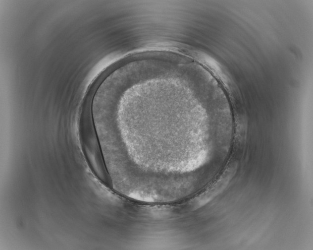 X0000110880952200907301431