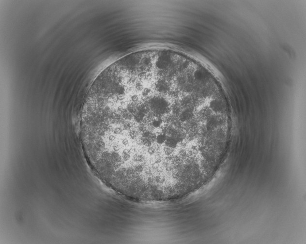 X0000110880953200907301431