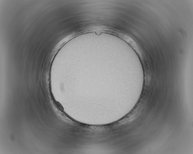 X0000110880954200907301431