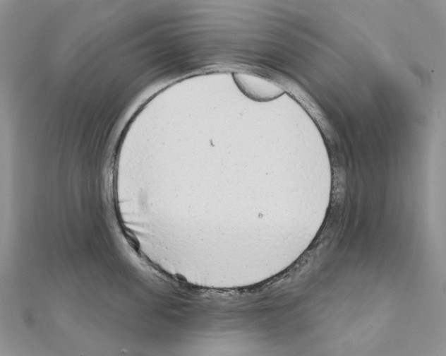 X0000110880955200907301431