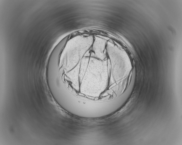 X0000110880956200907301431