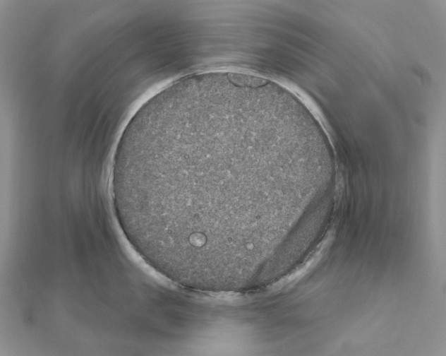 X0000110880957200907301431