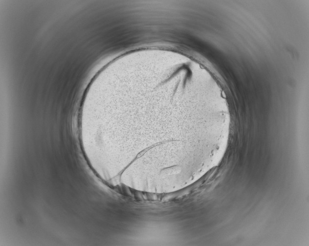 X0000110880959200907301431