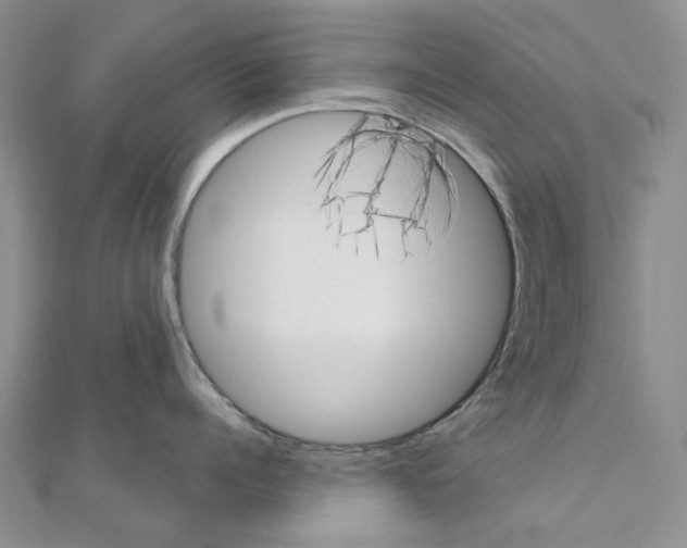 X0000110880960200907301431