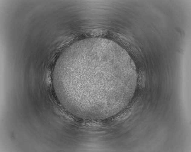 X0000110880962200907301430