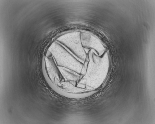 X0000110880965200907301430