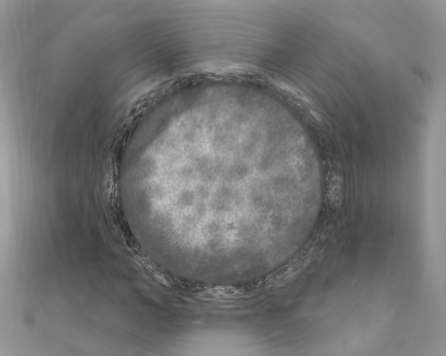 X0000110880966200907301430