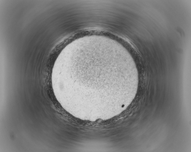 X0000110880967200907301430