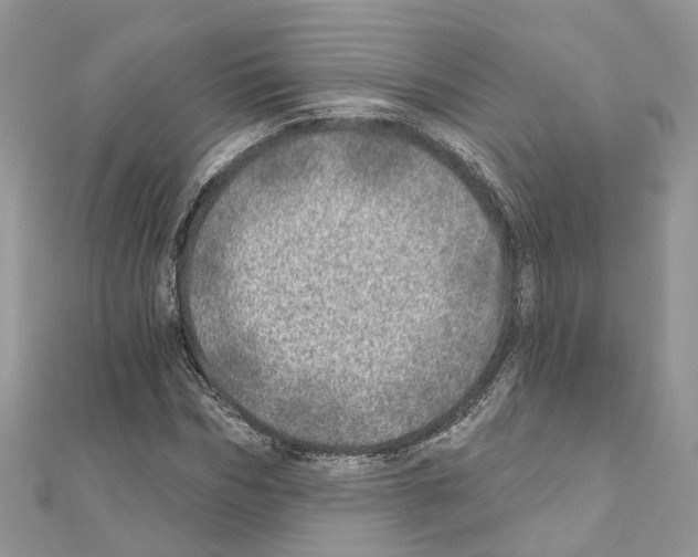 X0000110880970200907301430