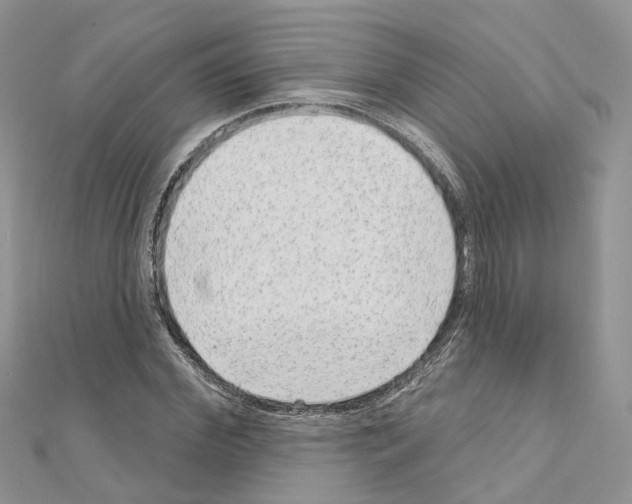 X0000110880972200907301430