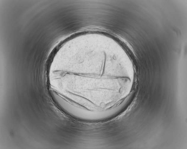 X0000110880973200907301430