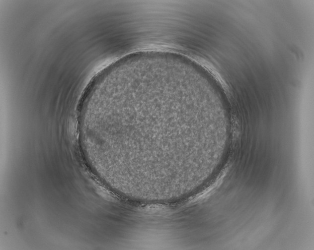 X0000110880974200907301430