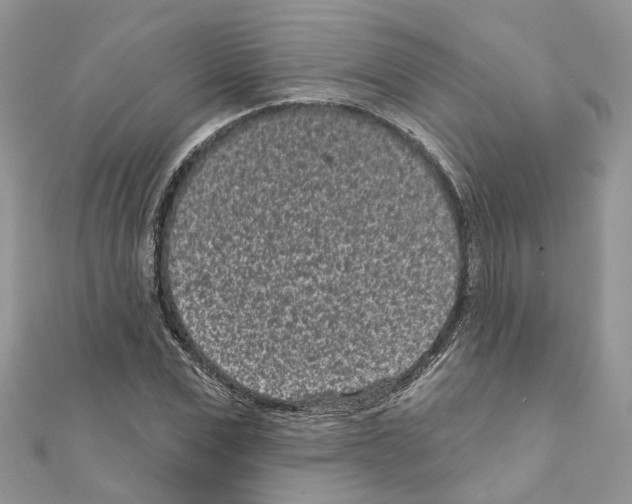 X0000110880975200907301430