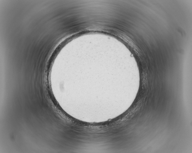 X0000110880976200907301430