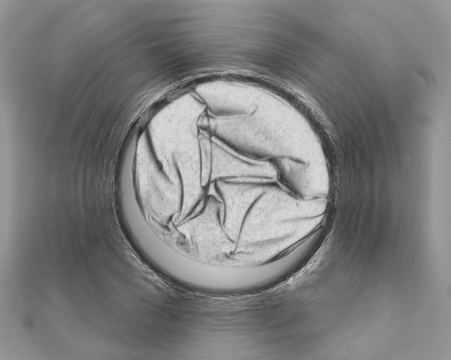 X0000110880977200907301430